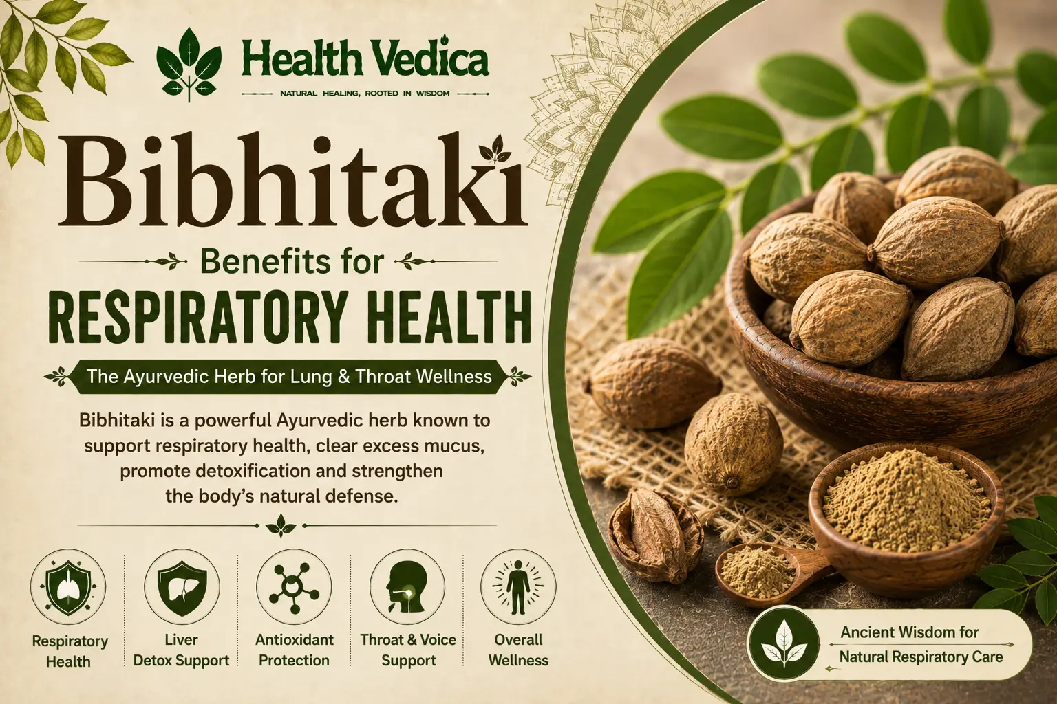 Bibhitaki (Baheda) — Respiratory Support