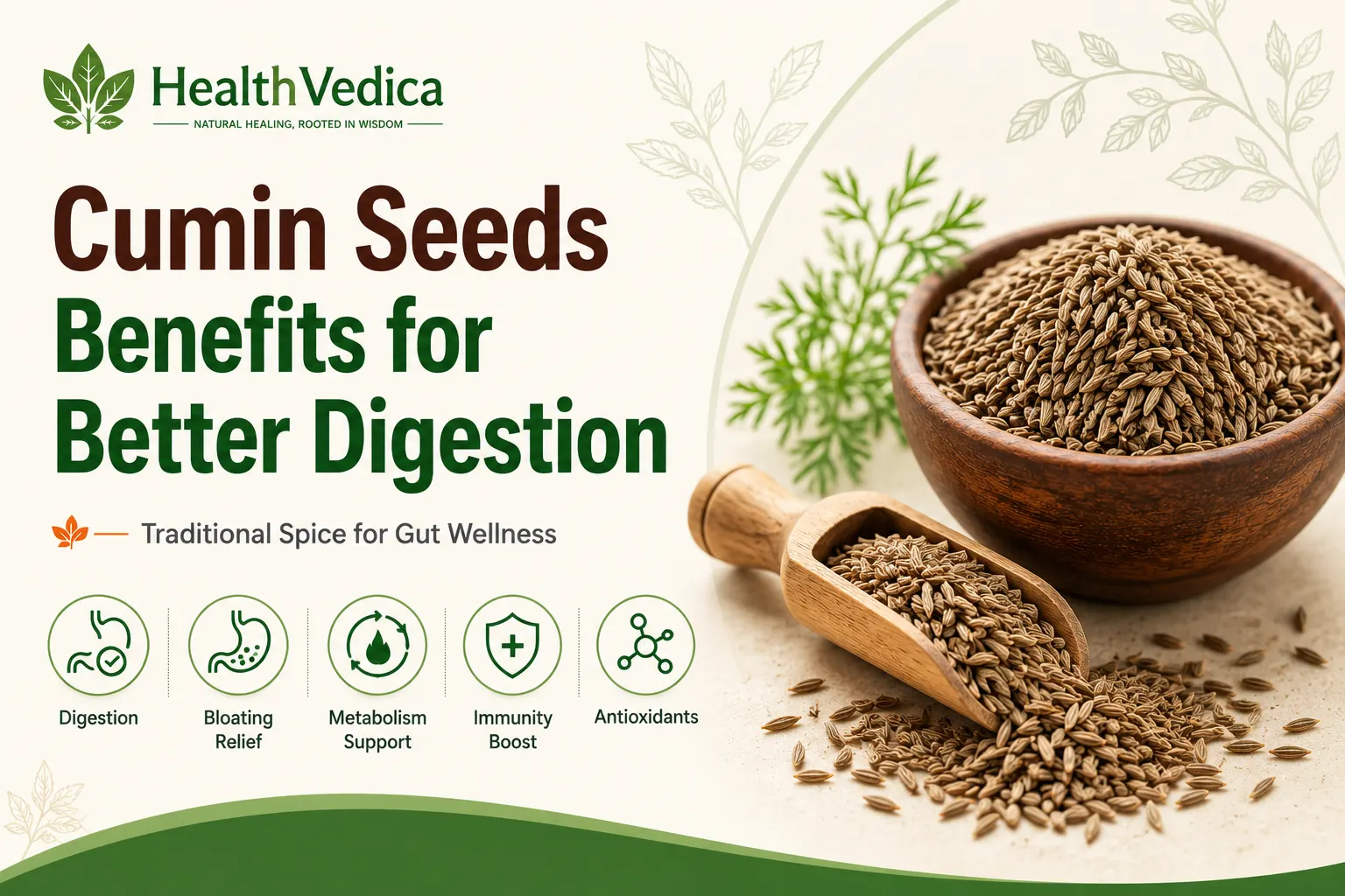 Cumin Seeds (Jeera) — Digestive Support