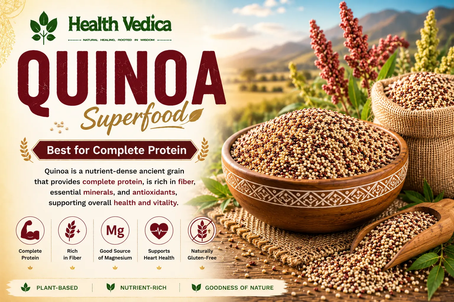 Quinoa