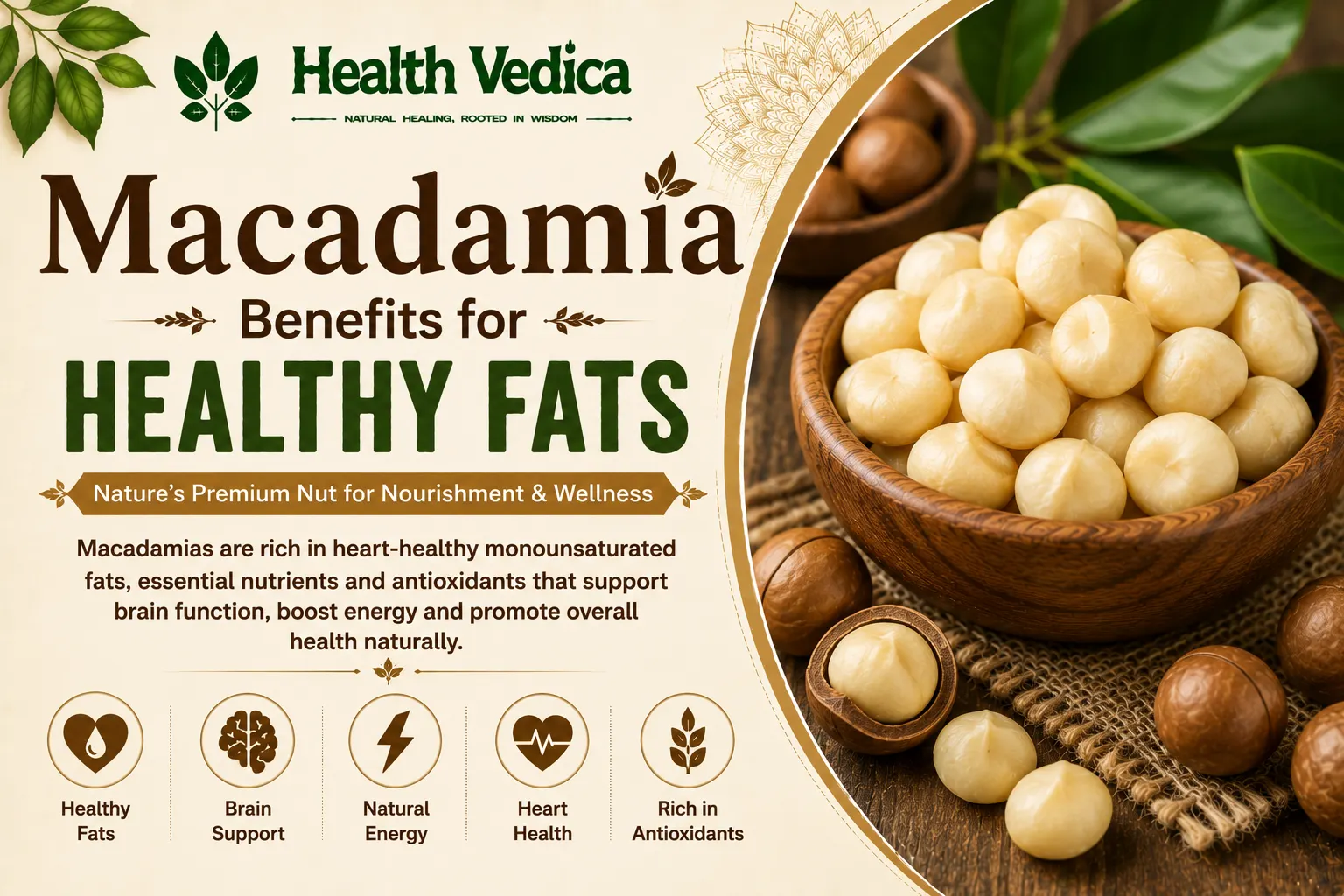 Macadamia Nuts — Nutrition, Health Benefits & Remedies